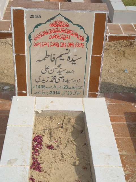 10294 – Syeda Naseem Fatima