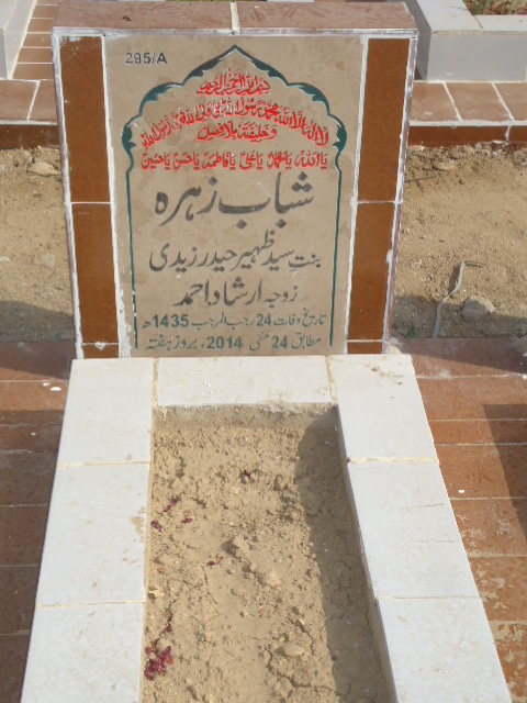 10295 – Shabab Zehra