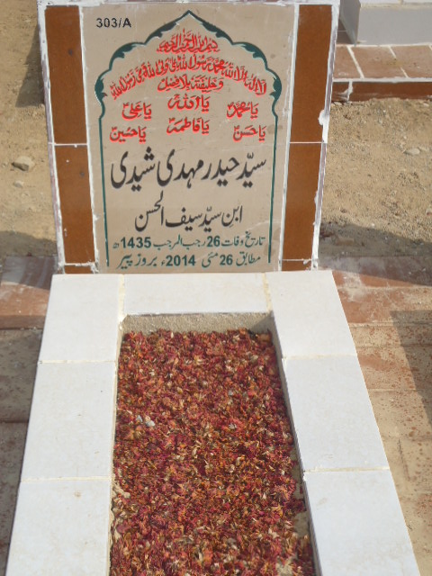 10303 – Syed Haider Mehdi Shedi