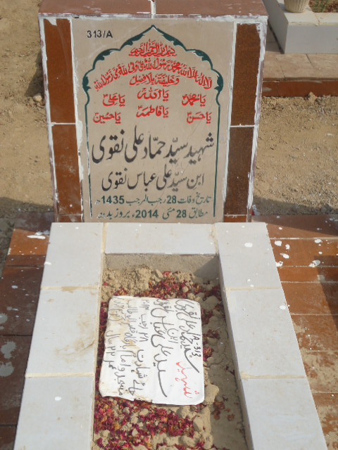 10313 – Shaheed Syed Hammad Ali Naqvi