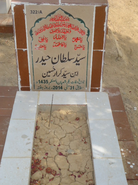 10322 – Syed Sultan Haider