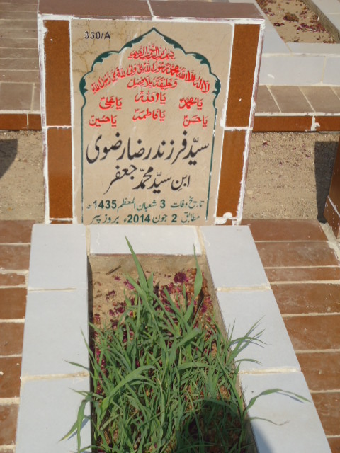 10330 – Syed Farzand Raza Rizvi