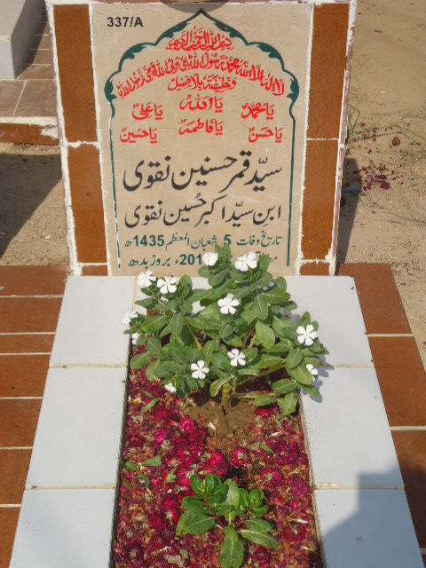 10337 – Syed Qamar Hasnain Naqvi