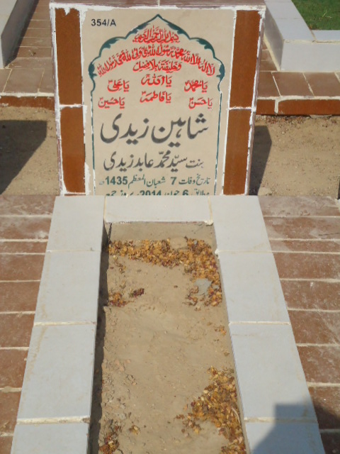 10354 – Shaheen Zaidi