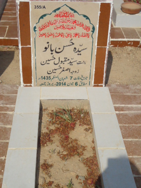 10355 – Syeda Hasan Bano