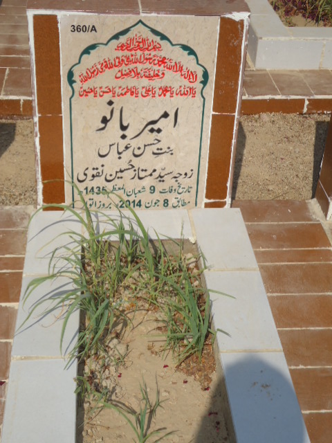 10360 – Ameer Bano