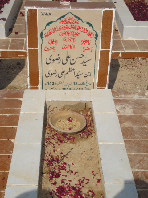10374 – Syed Hasan Ali Rizvi