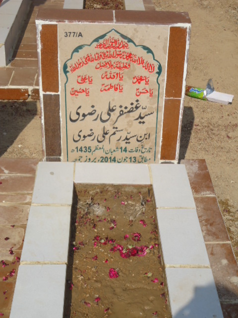 10377 – Syed Ghazanfer Ali Rizvi