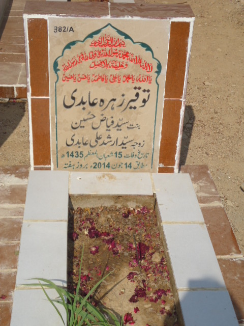 10382 – Touqeer Zehra Abidi