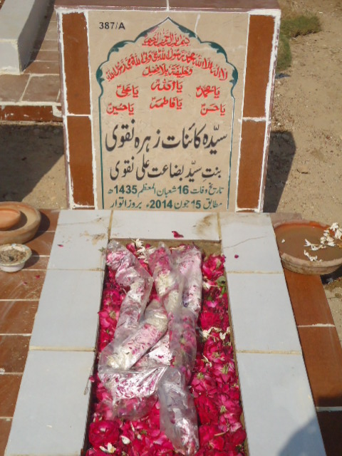 10387 – Syeda Kainaat Zehra Naqvi