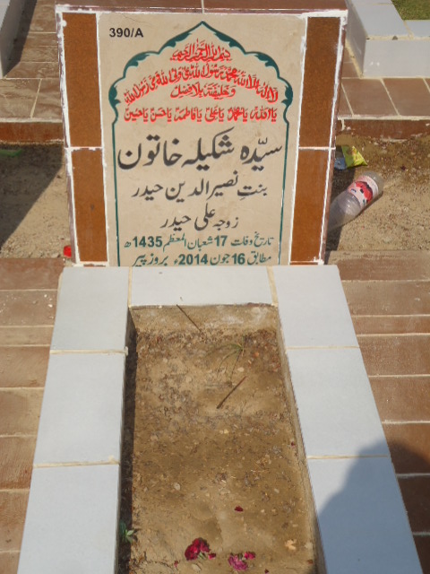 10390 – Syeda Shakeela Khatoon