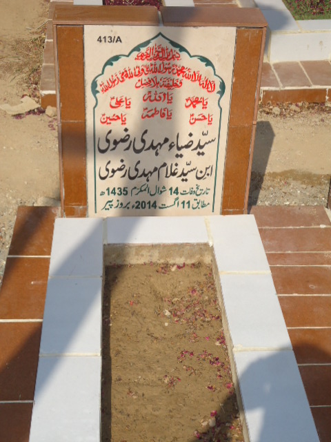 10413 – Syed Zia Mehdi Rizvi