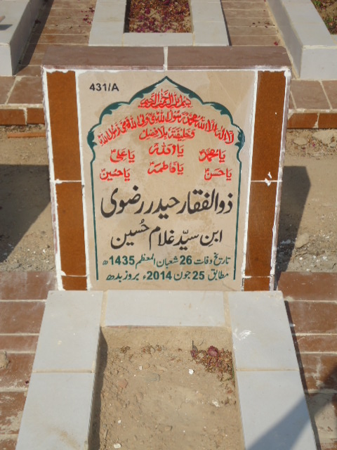 10431 – Zulfiqar Haider Rizvi