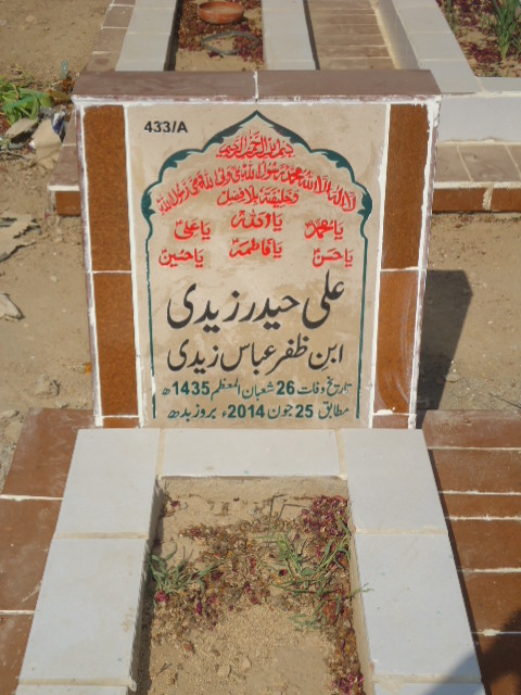 10433 – Ali Haider Zaidi