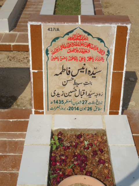 10437 – Syeda Anees Fatima