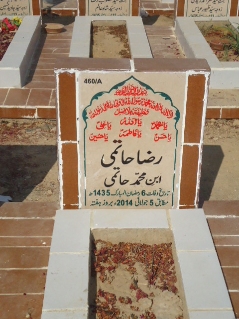 10460 – Raza Hatemi
