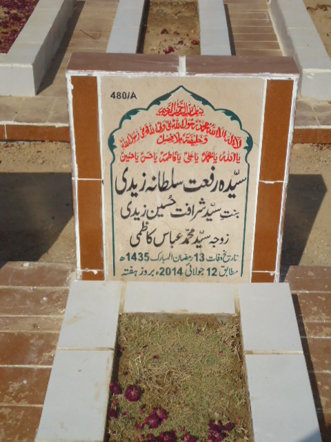 10480 – Syeda Riffat Sultana Zaidi