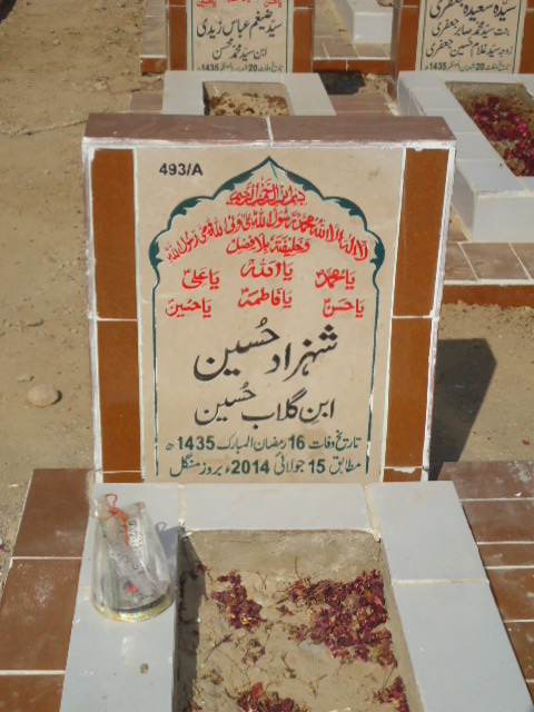 10493 – Shahzad Hussain