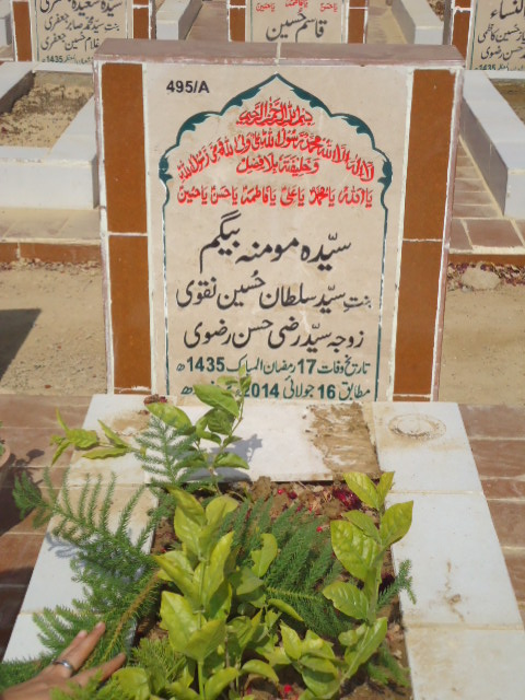 10495 – Syeda Monina Begum