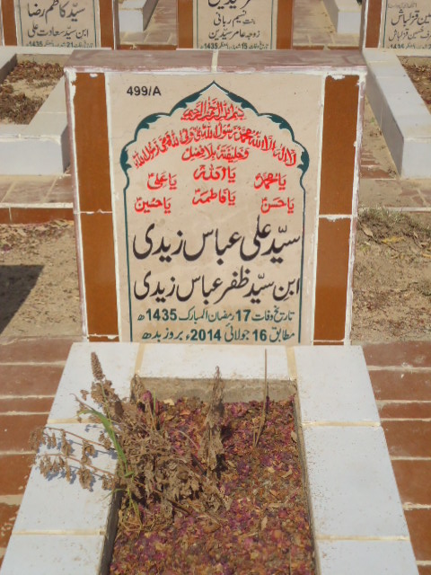 10499 – Syed Ali Abbas Zaidi