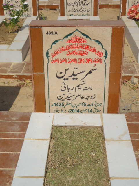 10409 – Somar Syedain