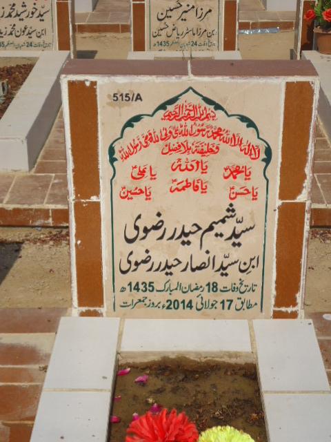 10515 – Syed Shamim Haider Rizvi