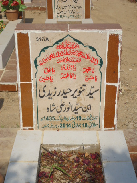 10517 – Syeda Tanveer Haider Zaidi