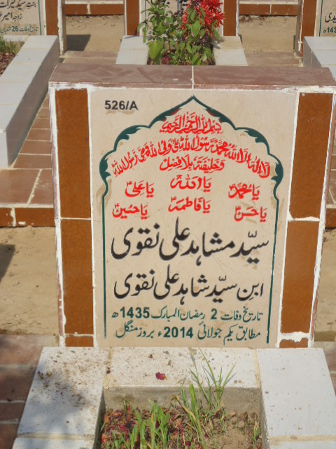 10526 – Syed Mushahid Ali Naqvi