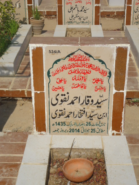 10534 – Syed Waqar Ahmed Naqvi