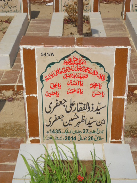 10541 – Syed Zulfiqar Ali Jaffery