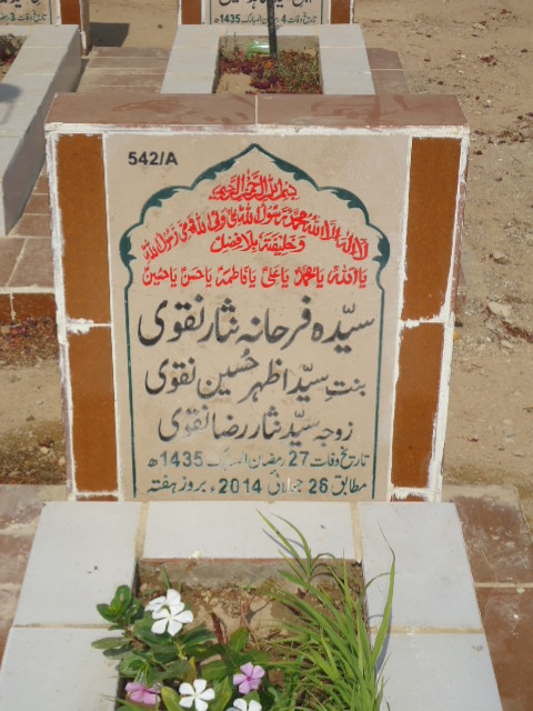 10542 – Syeda Farhana Nisar Naqvi