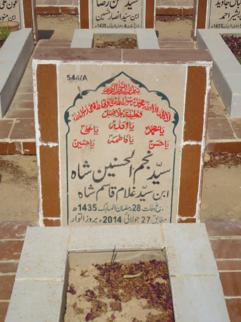 10544 – Syed Najmul Ul Hasnain Shah