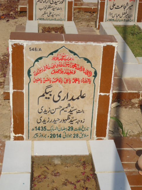 10548 – Alamdari Begum