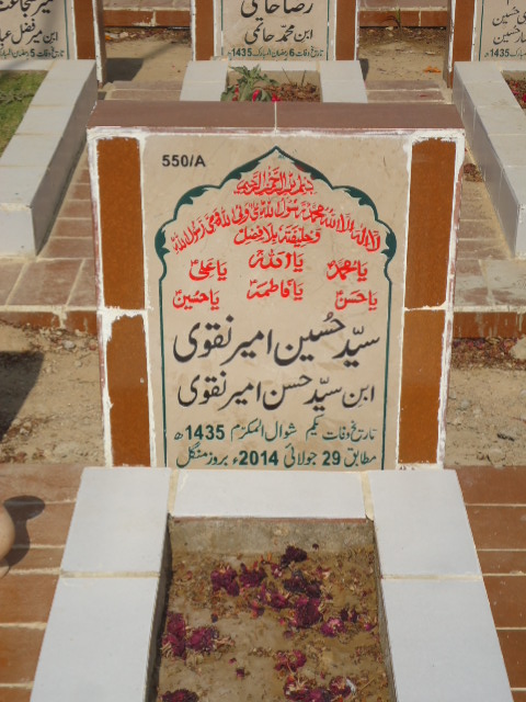 10550 – Syed Hussain Ameer Naqvi