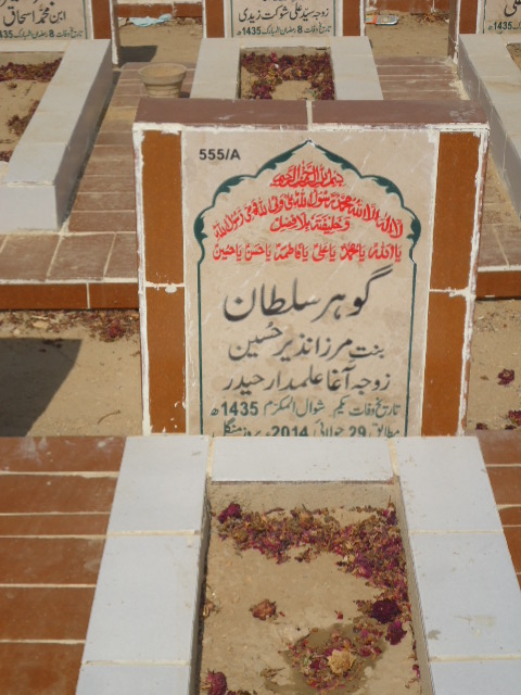 10555 – Gohar Sultan