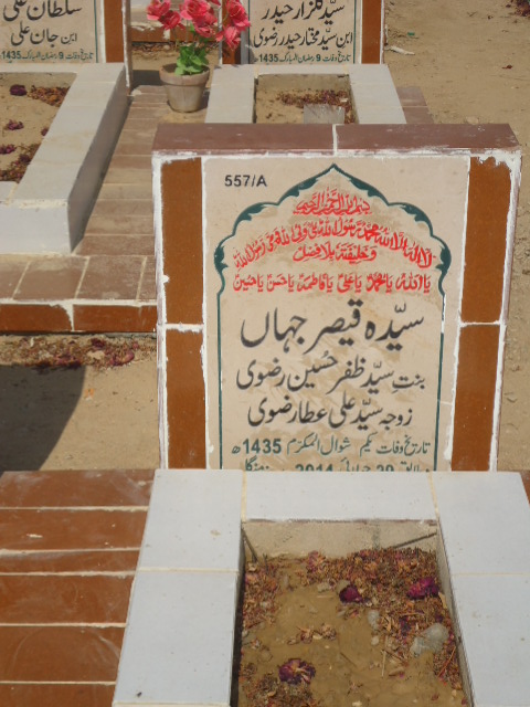 10557 – Syeda Qaisar Jahan