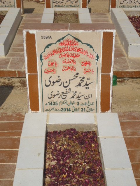 10559 – Syed Muhammad Mohsin Rizvi