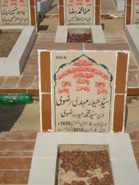 10560 – Syed Haider Mehdi Rizvi