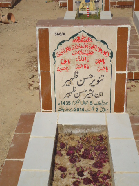 10568 – Tanveer Hasan Zaheer