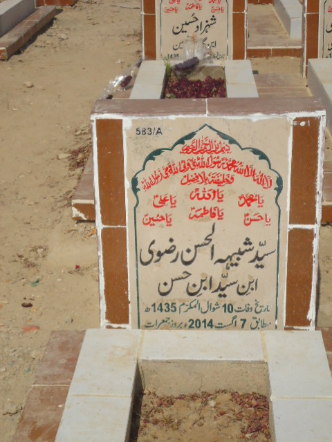 10583 – Syed Shabi Ul Hasan Rizvi
