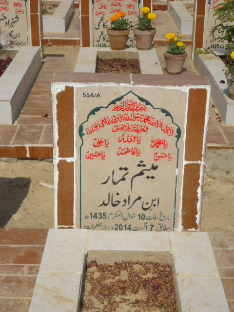 10584 – Mesam Tammar