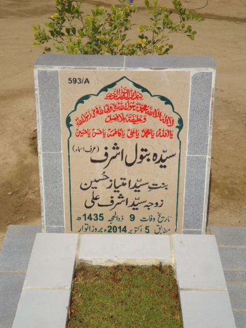 10593 – Syeda Batool Ashraf