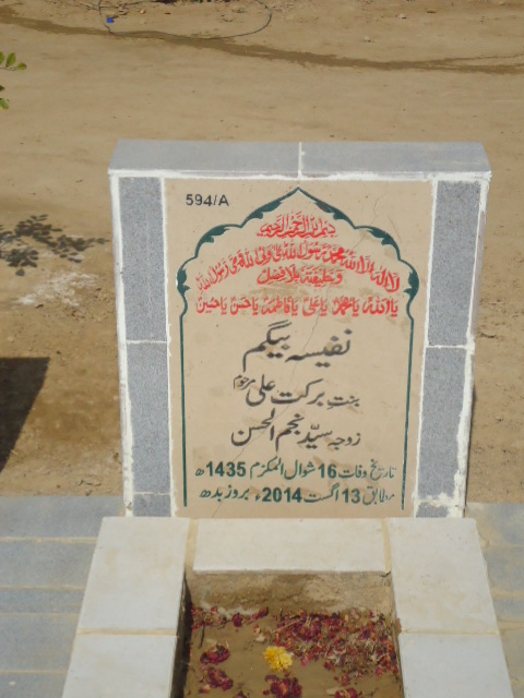 10594 – Nafeesa Begum
