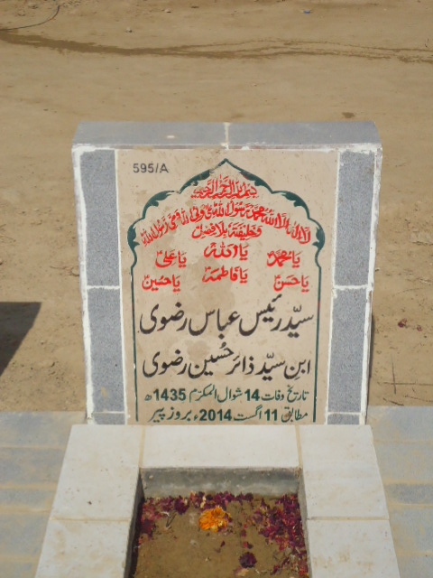 10595 – Syed Raees Abbas Rizvi