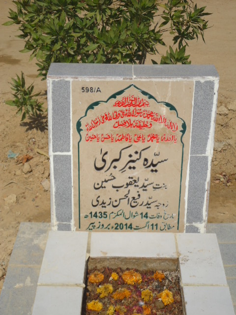 10598 – Syeda Kaneez Kubra