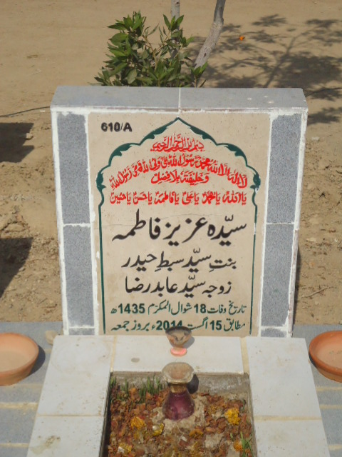 10610 – Syeda Aziz Fatima