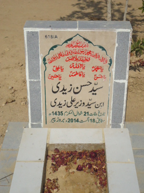 10618 – Syed Hasan Zaidi