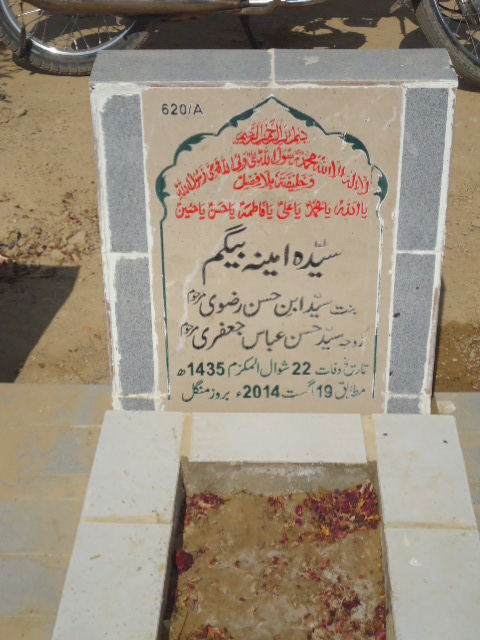 10620 – Syeda Amina Begum