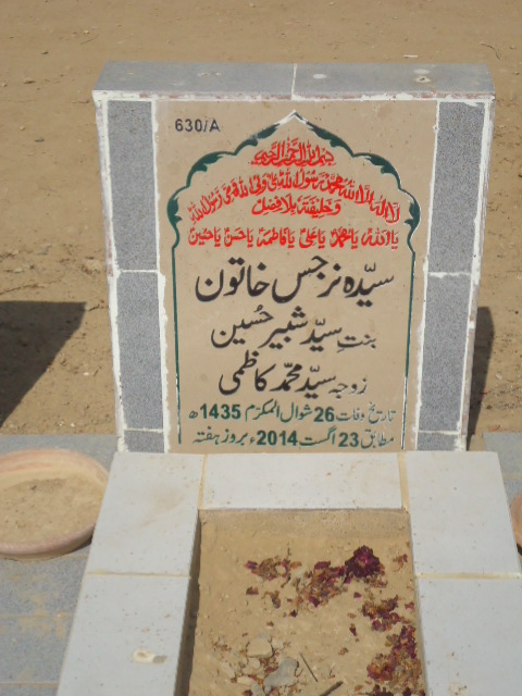10630 – Syeda Narjis Khatoon