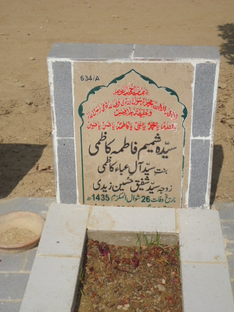 10634 – Syeda Shamim Fatima Kazmi
